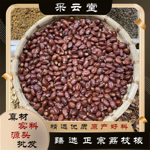 荔枝核  生荔枝核    新货荔枝核 商品图0