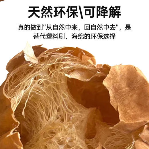 【挂绳丝瓜络】  厨房天然清洁神器 不伤锅不伤手 多孔结构透气 不易发霉 商品图3