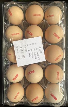 富硒鲜鸡蛋15枚/盒