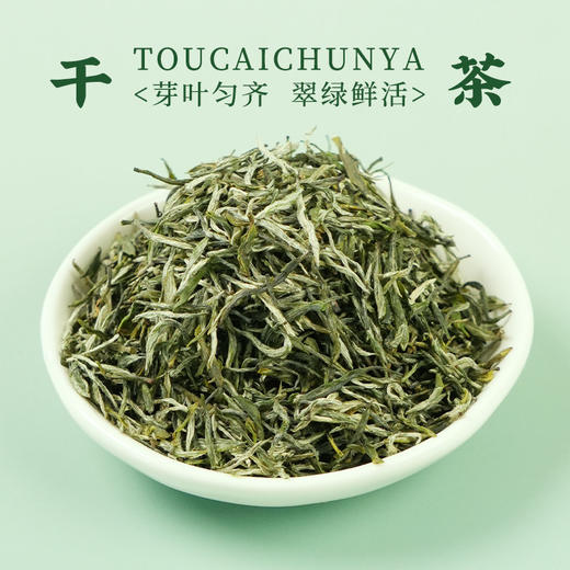 2026新茶采花毛尖特级明前头采春芽100g五峰炒青绿茶 商品图1