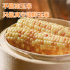 【江苏农垦】响垦臻品丨紫花糯玉米 1.8kg（10根） 商品缩略图1