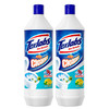 泰克斯乐 洁厕剂900ml*2瓶 6933072806387 商品缩略图0