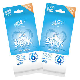 清风 纯水便携装湿巾10片*1包 BR010P-2BSJ