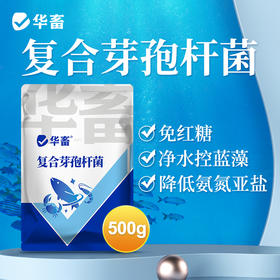 华畜复合芽孢杆菌500g  免红糖复合菌种净水调水 水产专用