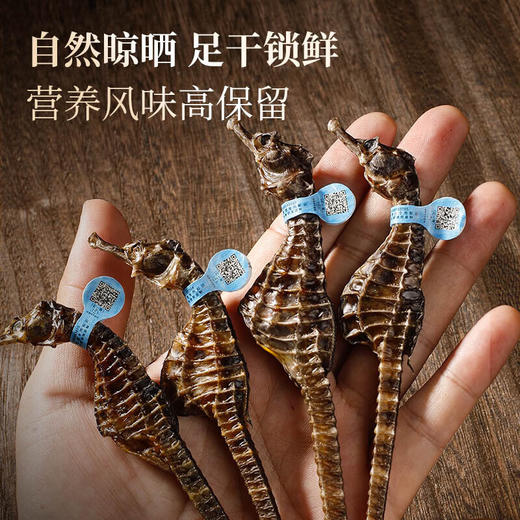 福东海 海马6克  一公一母海马干煲汤泡酒药材料 商品图5