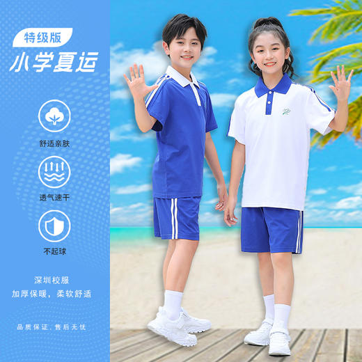 青之树【特级版】  瞬间凉感 抑菌透气 小学夏装运动服   51深圳校服 商品图0