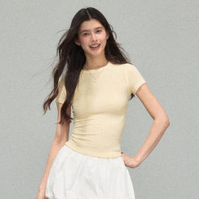Ariseism 美式复古基础款百搭修身短袖T恤女夏季新款上衣