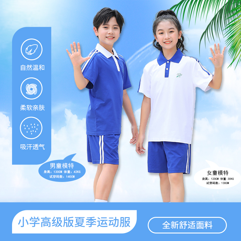 青之树【高级版】抑菌透气 抗皱不起球  小学夏装运动服   51深圳校服