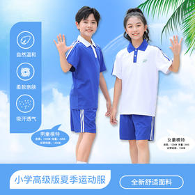 青之树【高级版】抑菌透气 抗皱不起球  小学夏装运动服   51深圳校服