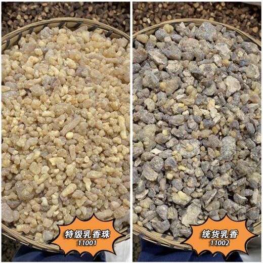 生乳香  当季新货农家生晒 中药材 商品图0