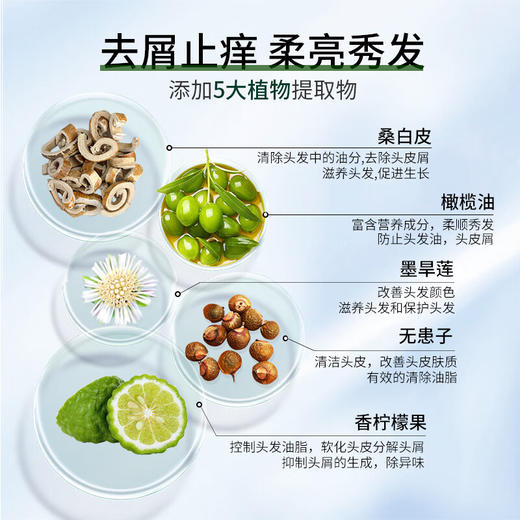 100年润发 柔亮去屑调理洗发露200ml*4瓶 N0SRX0204 商品图3