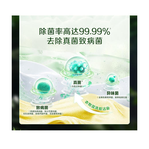 立白 卫仕天然除菌洗衣液（青翠茶园）2kg 6920174776614 商品图3