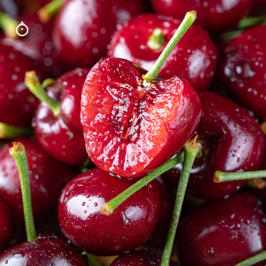 企鹅市集|大连 吉塞拉美早樱桃 多规格可选 新鲜滋味 自然成熟 商品图6