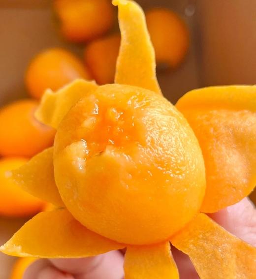 云南·蒙自甜枇杷，水润甜蜜 滋润喉咙，小小的身体，汁水十分足，薄薄的皮里面全是鲜嫩的果肉 商品图0