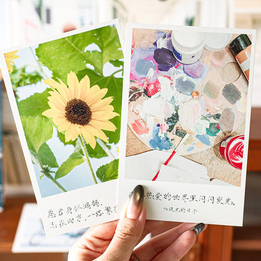 沐染明信片 追光的日子 商品图1