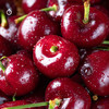 企鹅市集|大连 吉塞拉美早樱桃 多规格可选 新鲜滋味 自然成熟 商品缩略图3