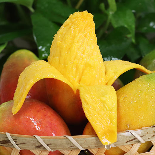 【好物推荐】贵妃芒 4.5斤/8斤广西发 商品图1