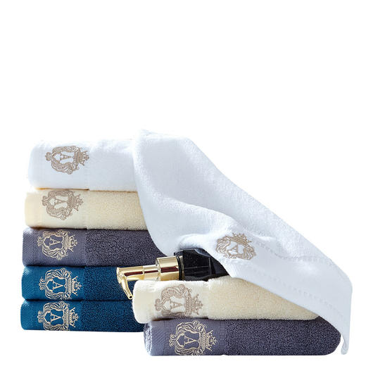 伊伊爱 奥斯丁毛巾一对礼盒装74*34cm MJ-9LH-005-2 商品图0