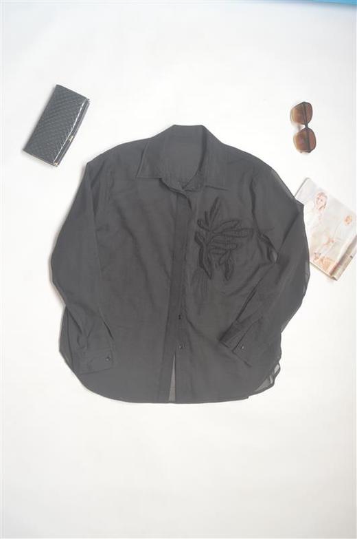 艾衣集SY95PA_衬衫_ZK 商品图0