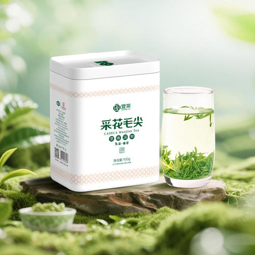 2026新茶采花毛尖特级明前头采春芽100g五峰炒青绿茶 商品图0