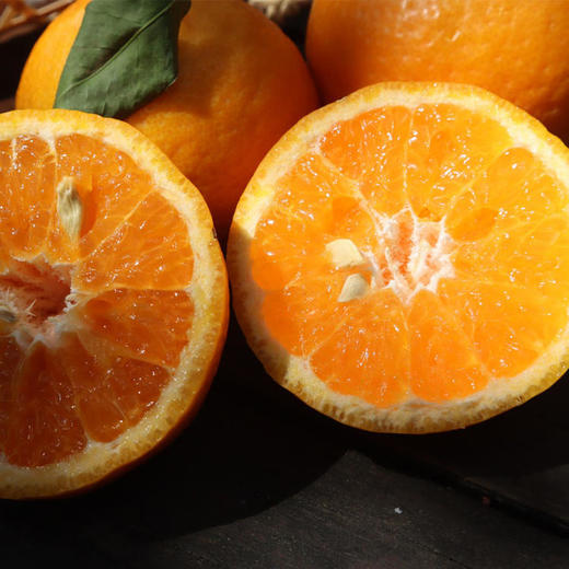 千野蜜柑（沃柑）#果肉细腻，爆汁甘甜，高海拔15个月生长期，累积更多风味，现摘现发 商品图2