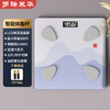 多瑞米华 体脂秤蓝10W白色 DR-B1022 商品缩略图2