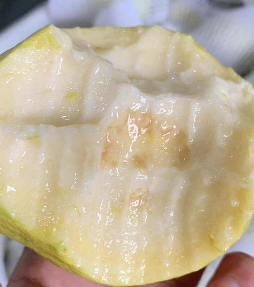 树上熟奶油芭乐（单颗） 商品图1