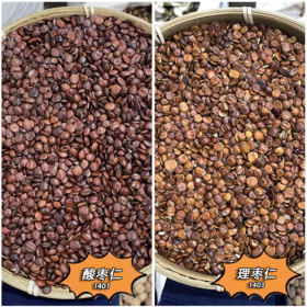 淮枣仁  北枣仁  酸枣仁  理枣仁