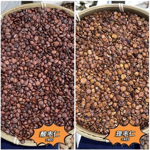 淮枣仁  北枣仁  酸枣仁  理枣仁 商品图0
