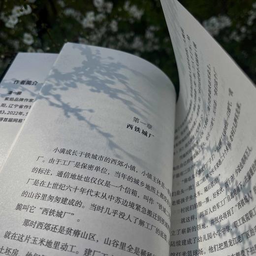 子弟 | 黄景瑜、关晓彤主演影视剧《岁月有情时》原著，三线工厂里的《小巷人家》 商品图3