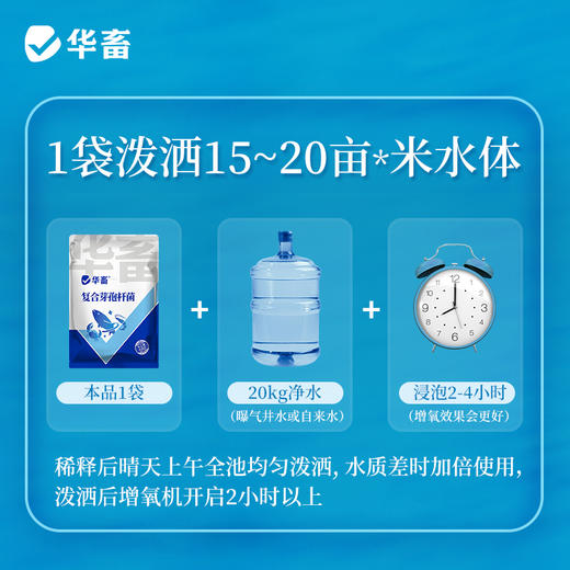 华畜复合芽孢杆菌500g  免红糖复合菌种净水调水 水产专用 商品图5