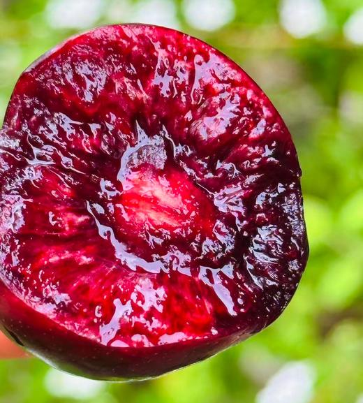 黑珍珠樱桃，你的高贵之选！春日里的小确幸，就是邂逅这一颗颗乌黑发亮的黑珍珠樱桃呀！它们不仅是水果界的颜值担当，更是味觉的极致诱惑～轻轻一咬，哇！满口的鲜甜与醇厚，汁水四溢，简直不要太满足！快来尝鲜吧~ 商品图2