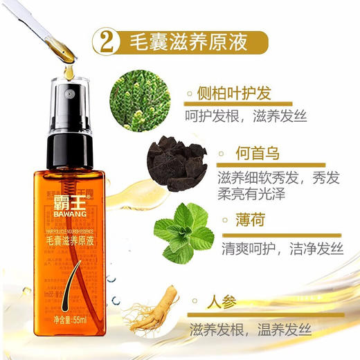 霸王 育发防脱洗发水380ml*2+毛囊滋养原液55ml*2 BWZH0001 商品图4