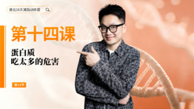 第14天：蛋白质吃太多的危害