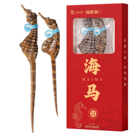 福东海 海马6克  一公一母海马干煲汤泡酒药材料 商品图8