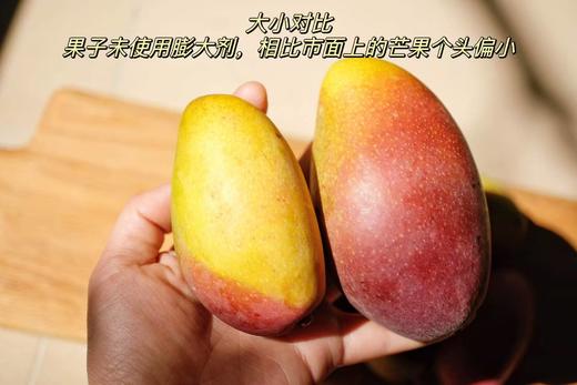 海南当季 树上熟贵妃芒 香甜多汁 4斤装 商品图1