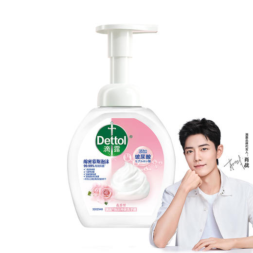 滴露 泡沫洗手液花香型250ml 22205020433 商品图3