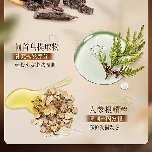 维特丝 生姜防脱固发洗发水535g（金棕瓶） VXL9126 商品图4
