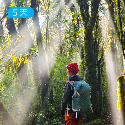 秘境哀牢山｜ 穿越迷雾森林+徒步元阳梯田 23公里轻徒步 5日 商品图0