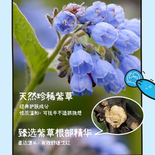 润本 紫草舒缓止痒贴32贴 6941860225513 商品图3