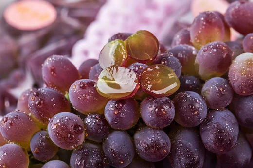 【诸小沃-茉莉香无籽提】高甜，汁多，皮薄，无核还带着清新淡雅的茉莉香-CC 商品图5