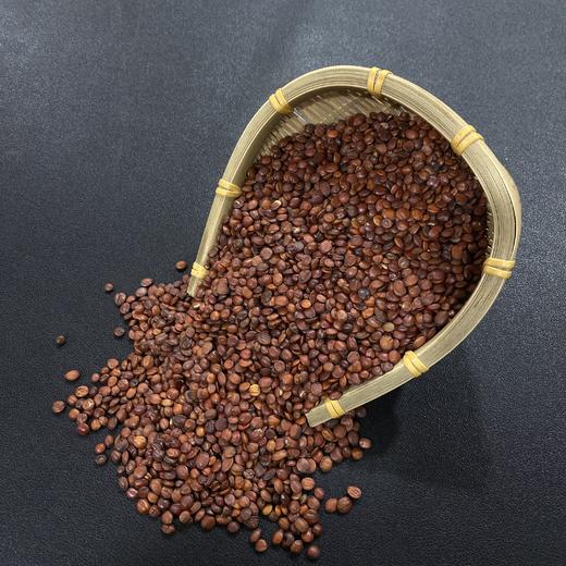 淮枣仁  北枣仁  酸枣仁  理枣仁 商品图3