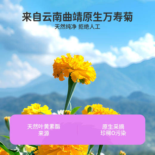 葆迪乐爱视葆蓝莓叶黄素酯 商品图6