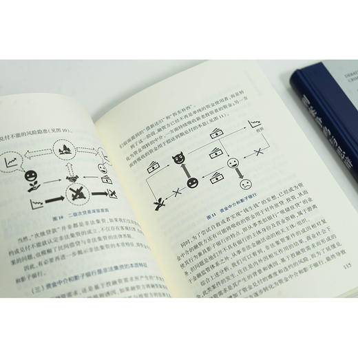 刑案争鸣与思辩   朱勇辉 彭吉岳主编 聂素芳 孙广智副主编   法律出版社 商品图2