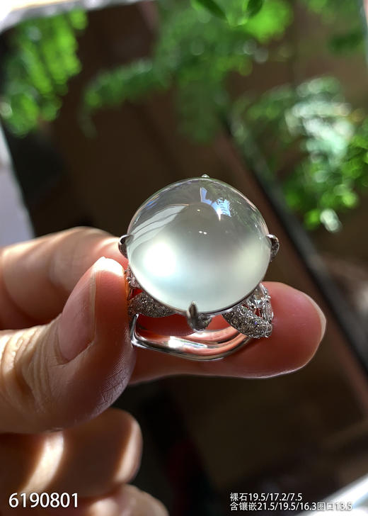 玻璃种蛋面戒指【6190801】具体价格微信咨询 商品图1