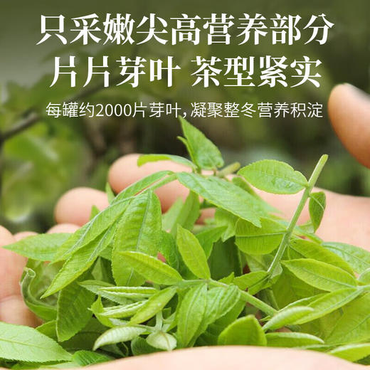 福东海 青钱柳茶180克  金钱柳叶深山老树嫩叶送父母长辈泡茶喝 商品图4