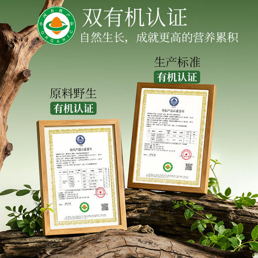 神农金康有机绞股蓝150g深山嫩芽尖高山茶 养生茶 商品图6