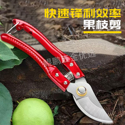 【货号010017】多功能园艺修枝剪粗枝细枝园林小树修剪刀 商品图3