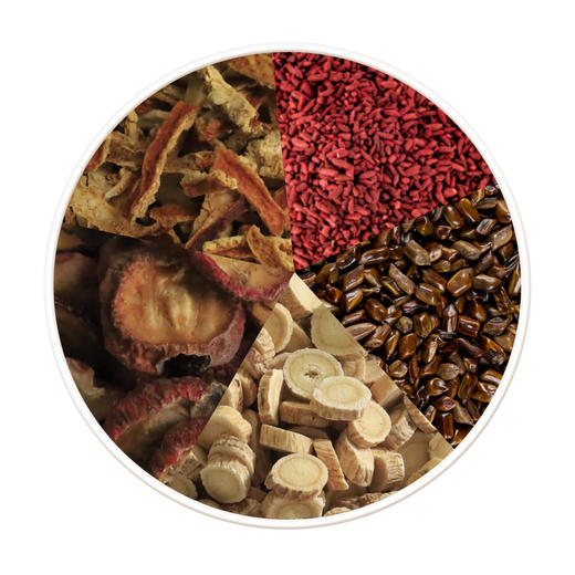 【减肥消脂茶—温补版】红曲陈皮决明子山楂黄芪 商品图2