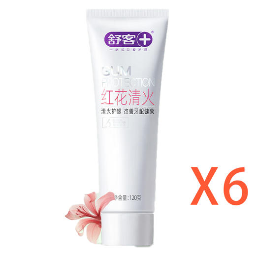 舒客 红花清火牙膏120g*6支装 6940477402003-6 商品图0